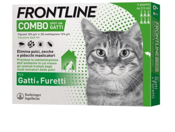 Frontline