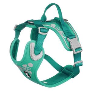 Pettorina hurtta weekend warrior peacock CM 80-100