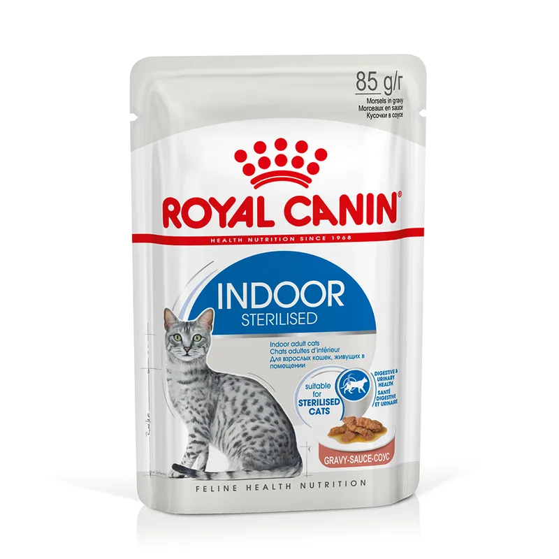 Royal Canin Indoor Sterilised umido in Salsa per gatti 12x85 gr