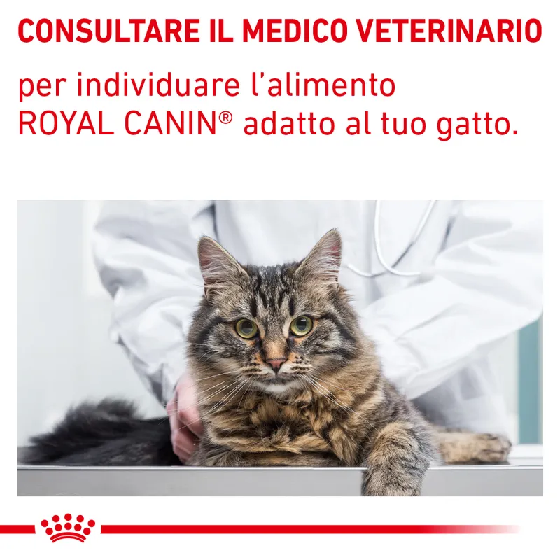 Royal Canin Feline Gastrointestinal Fibre Response Crocchette gatto gr 400 - immagine 2