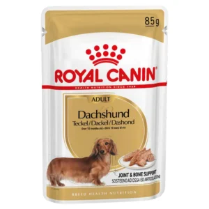 Royal Canin Bassotto ( Dachshund ) Adult Patè umido per cane 12 x 85 g