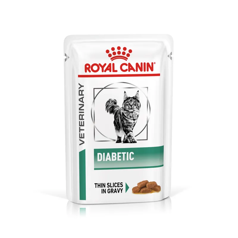 Royal Canin Diabetic Feline Veterinary umido gatto 12 x 85 g