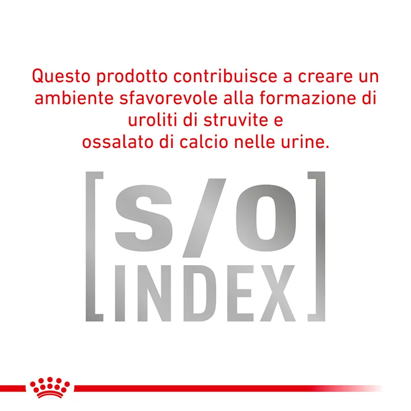 Royal Canin Diabetic Feline Veterinary umido gatto 12 x 85 g - immagine 3