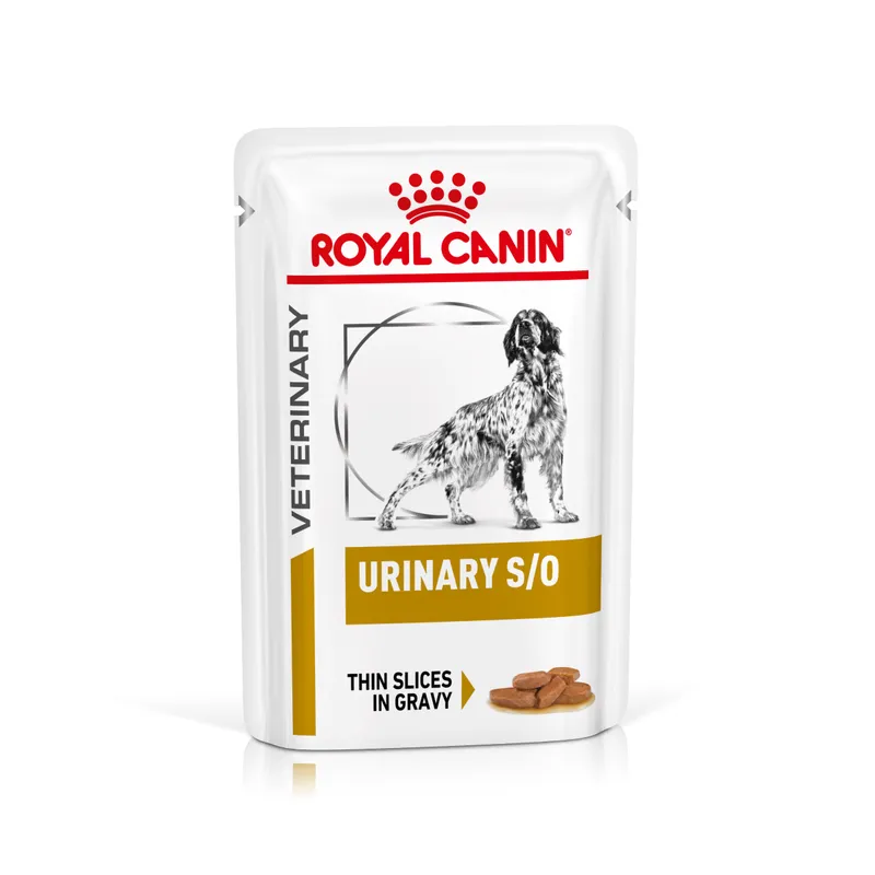 Royal Canin Urinary S/O Canine Veterinary umido in salsa per cane 12 x 100 g